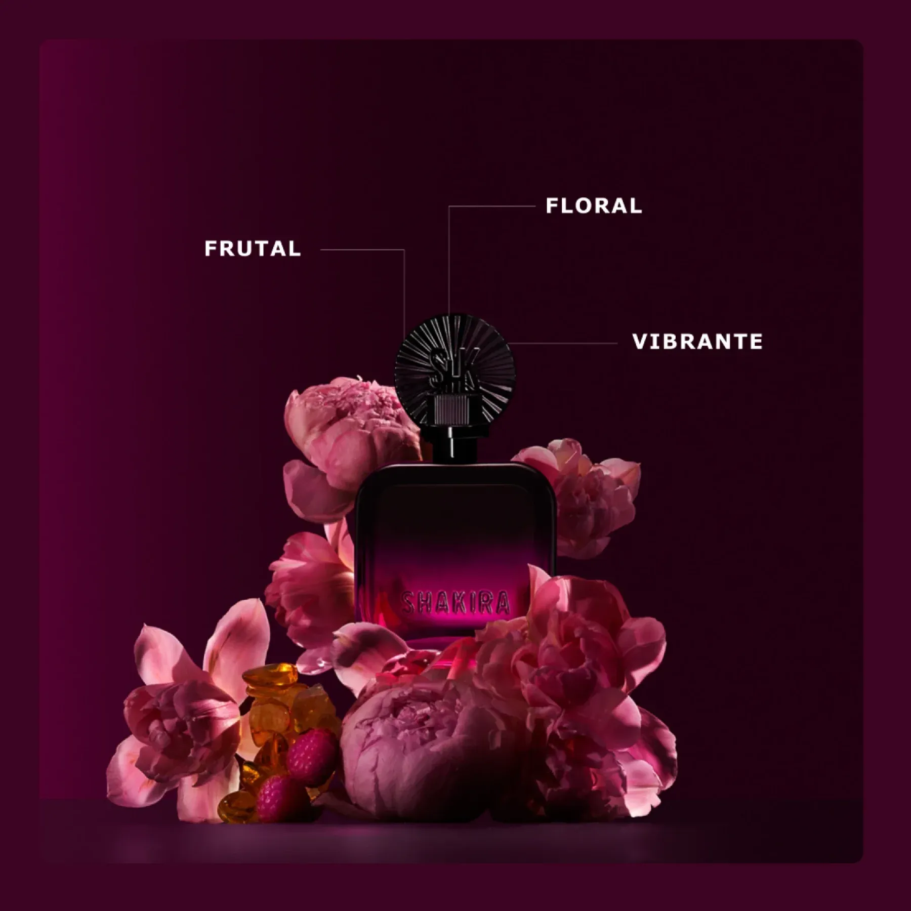 FUCSIA GERAL